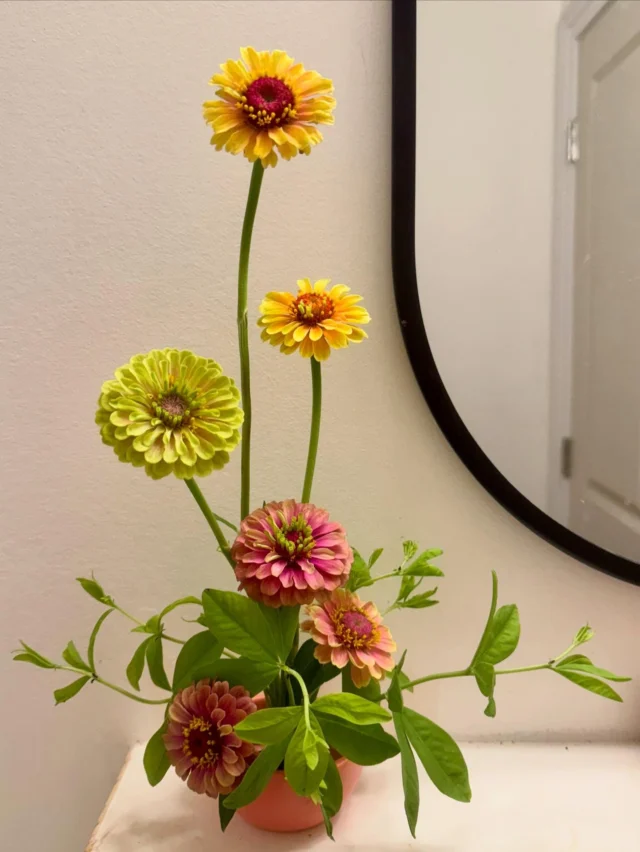 When arrangements were made and delivered, I practiced Ikebana style for this sweet little moment.