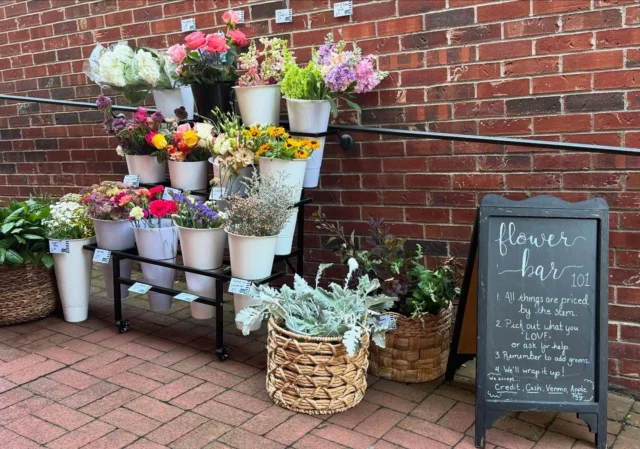 We are ALL over today!  You can find us in the alley @_wynnsome_ .  Sallie the truck is @ozark_biscuits until noon and then @trailstopbeer 4-8 tonight.  Stop by for flowers, biscuits, tea, and/or pizza/beer!